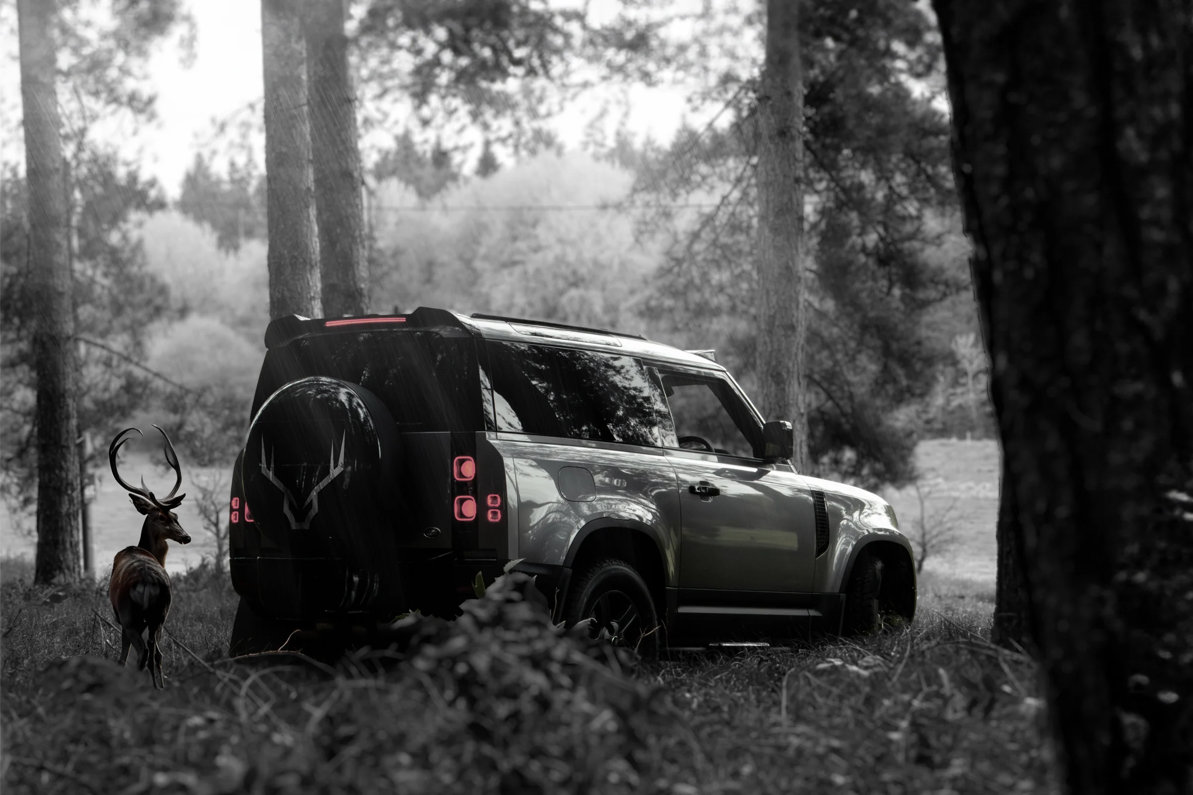 Drive Your Style Forward